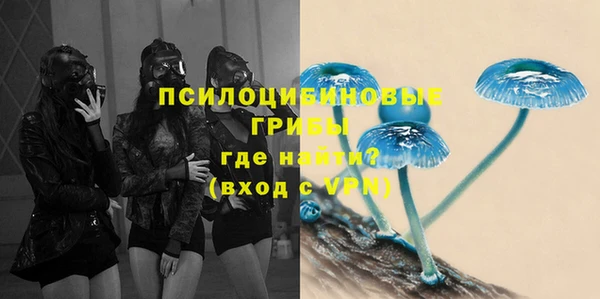 apvp Нея