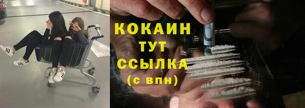 apvp Нея