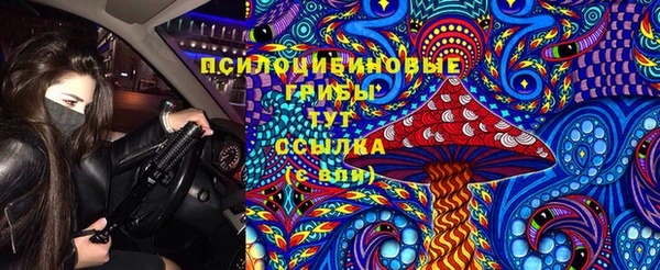 apvp Нея