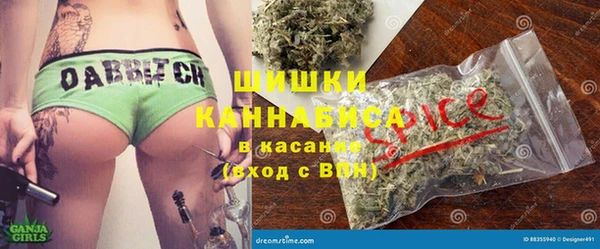 шишки Бердск
