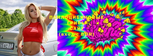 apvp Нея