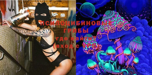 стафф Нефтегорск