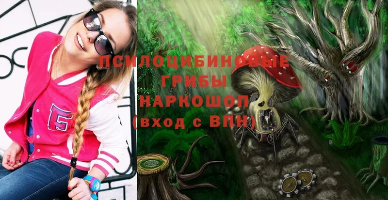 Галлюциногенные грибы Magic Shrooms  закладки  Нижнекамск 